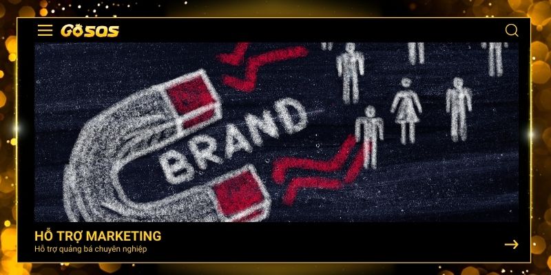Hỗ trợ Marketing